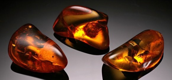 Amber Oil, Fossilized